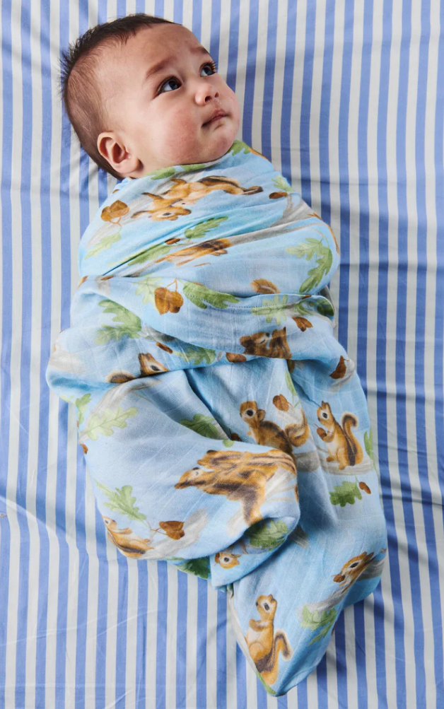 Kip & Co Swaddle Squirrel Scurry Ollie & Lloyd