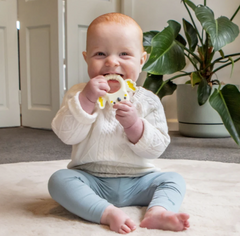 <b>Cockatoo Teether</b>