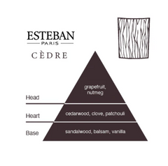 <b>Esteban Candle - Cedre</b>