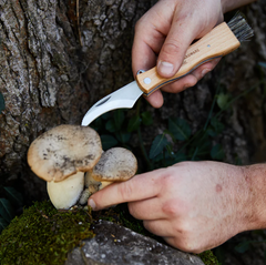 <b>Gentlemen's Hardware Foraging Knife</b>