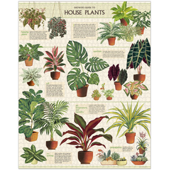 <b>Cavallini Jigsaw Puzzle - House Plants</b>