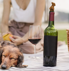 <b>Winer Dog Wine Stop</b>