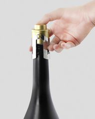 <b>Pump It Up Champagne Stopper</b>